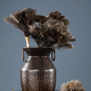 Dammvippa Strutsfjäder Natur