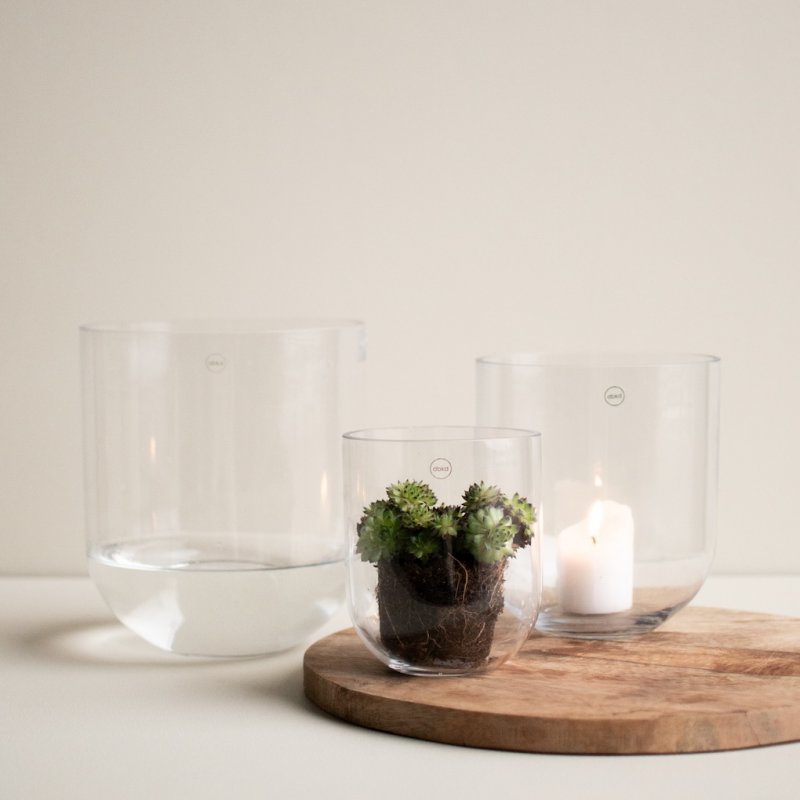 Simple Glass Vase Clear