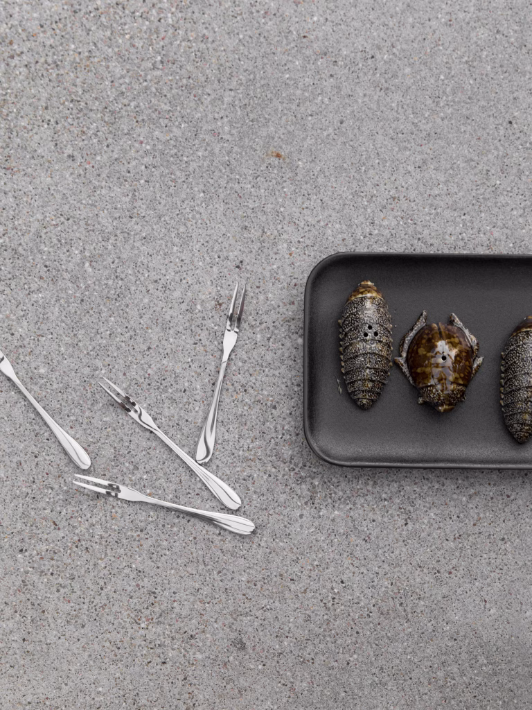 Salt and Pepper Set Bug Brown