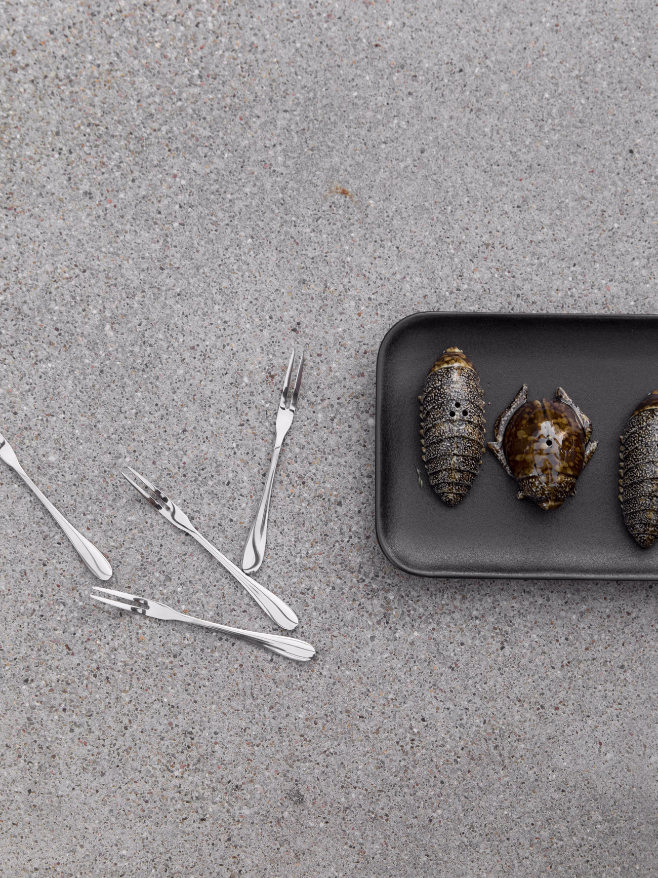 Salt and Pepper Set Bug Brown