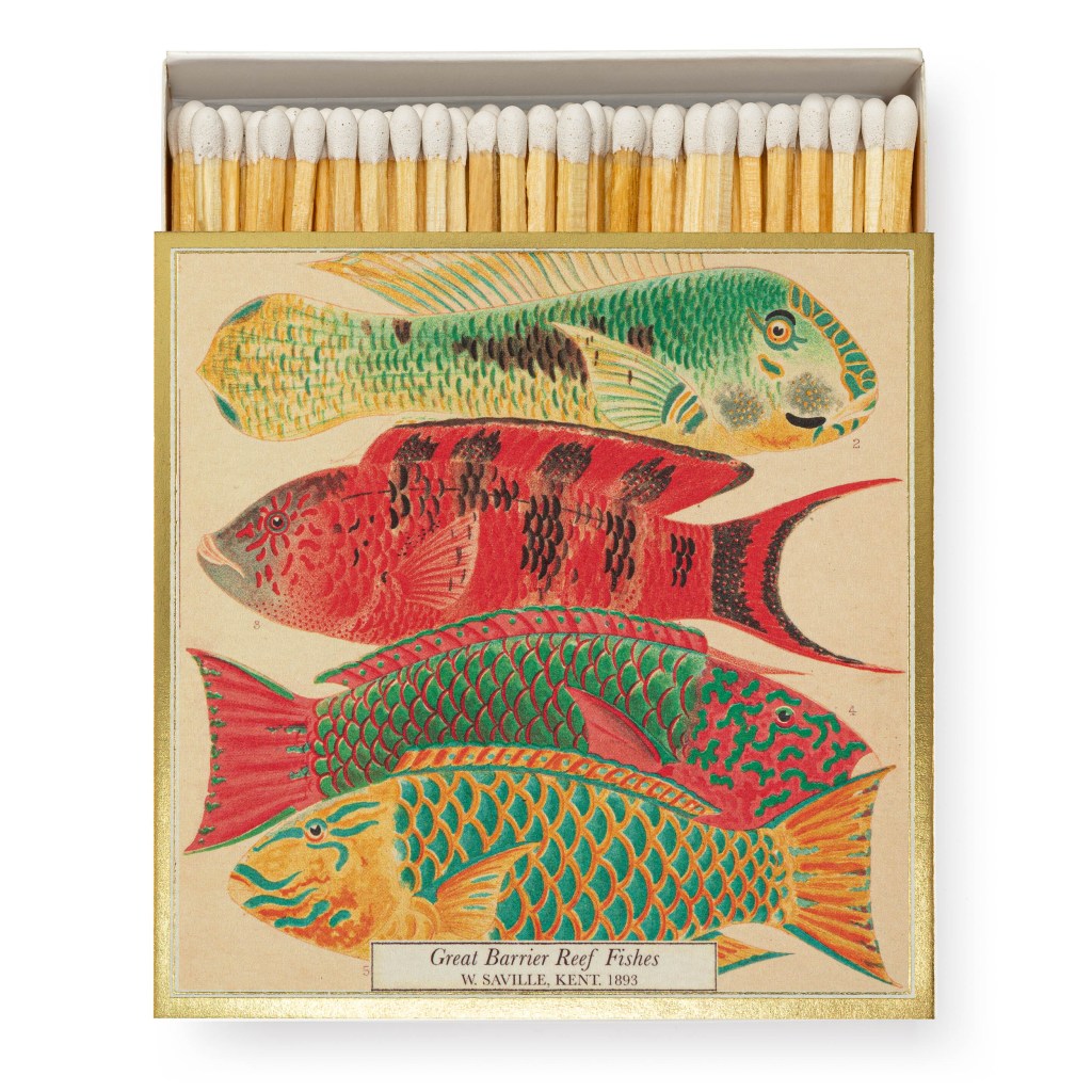 Natural History Museum Fish Matches