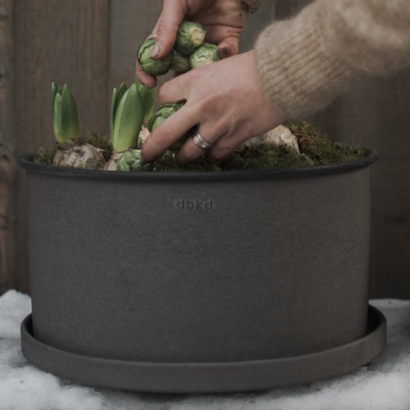 Plant Bowl Brown - BEAS INREDNINGSBYR