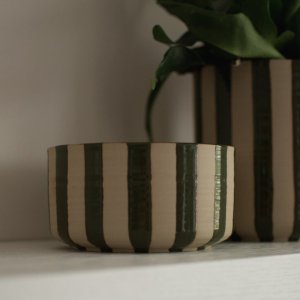 Line Bowl Stripe Green DBKD