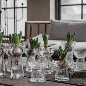 Lökvas D10 H19 klarglas